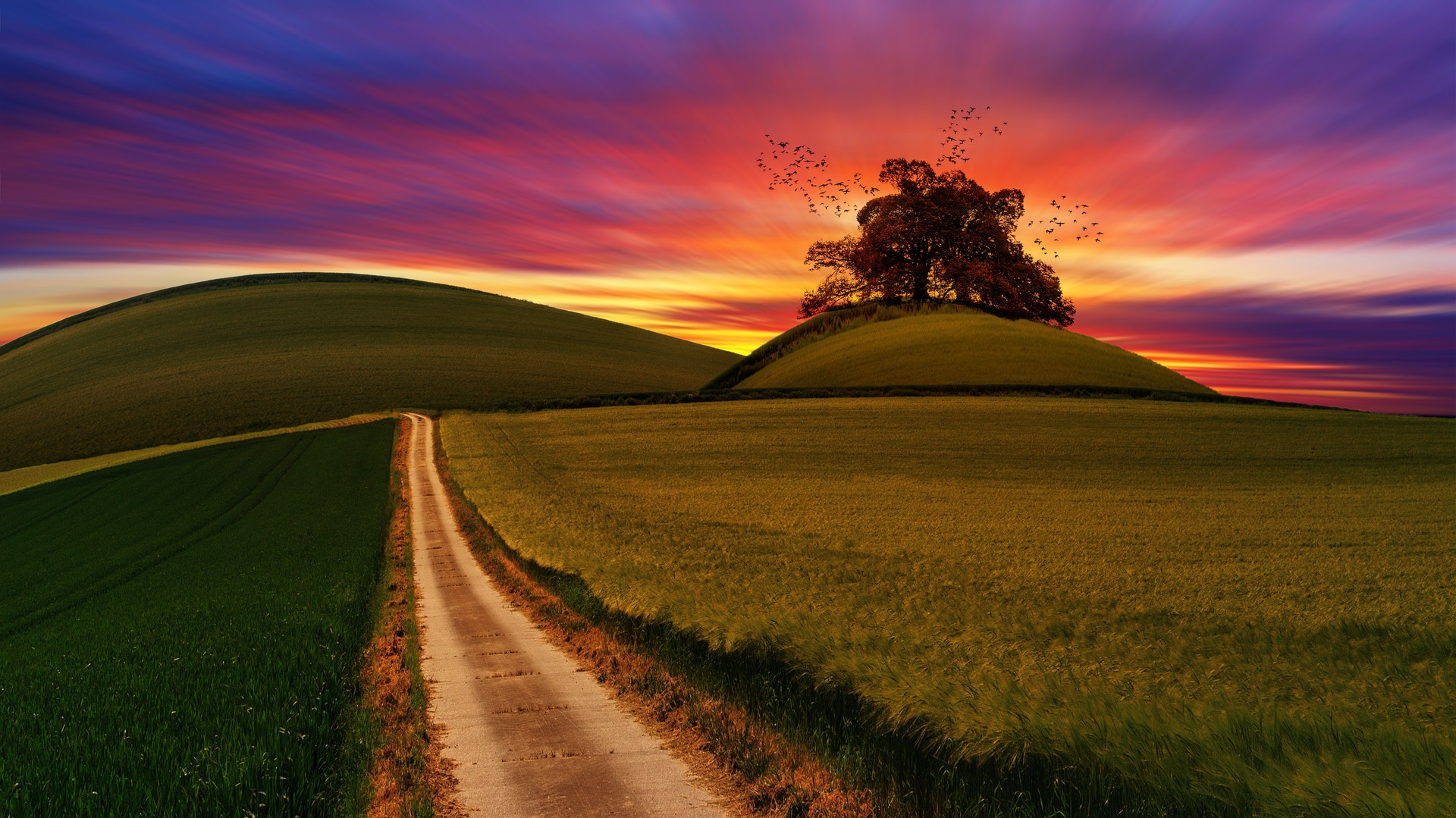 Independent Financial Adviser Surrey, London, Sussex, Kent, Hampshire, UK