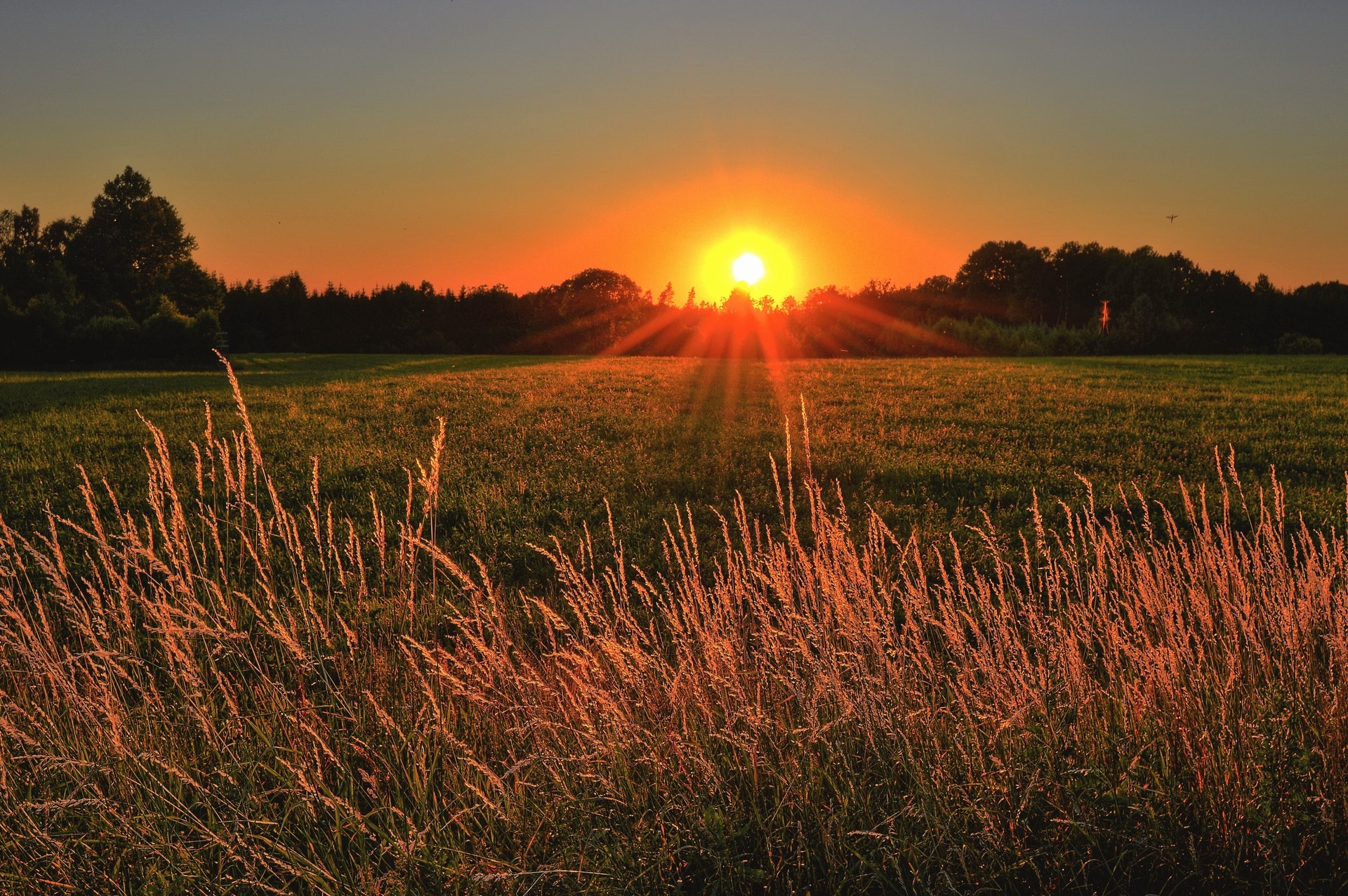 Independent Financial Adviser Surrey, London, Sussex, Kent, Hampshire, UK